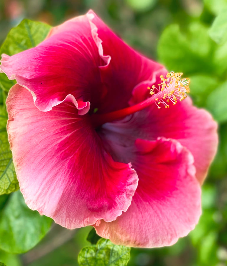 沖縄は世界をつなぐ人と情報のキーストーン3